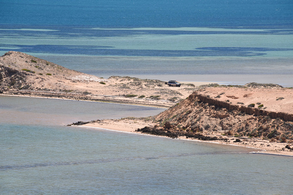 Shark Bay, Western Australia