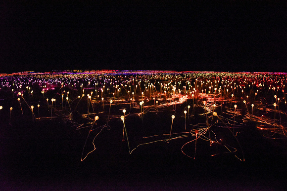Field of Light installation at Uluru-Kata Tjuta National Park, Northern Territory